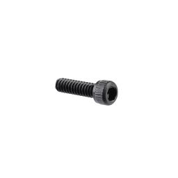 17655 Short Shell Screw