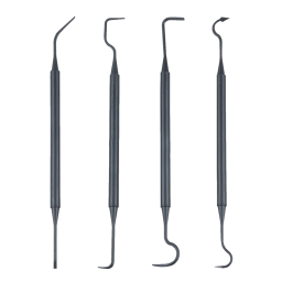 4 Polymer Double Side Cleaning Picks