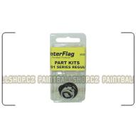 CO2/AIR Centerflag Reg Parts Kit
