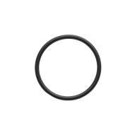 Barrel O-ring