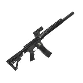 Tiberius T15 DMR
Click to view the picture detail.