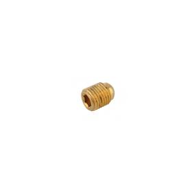 17590 Regulator Adj Screw
Click to view the picture detail.